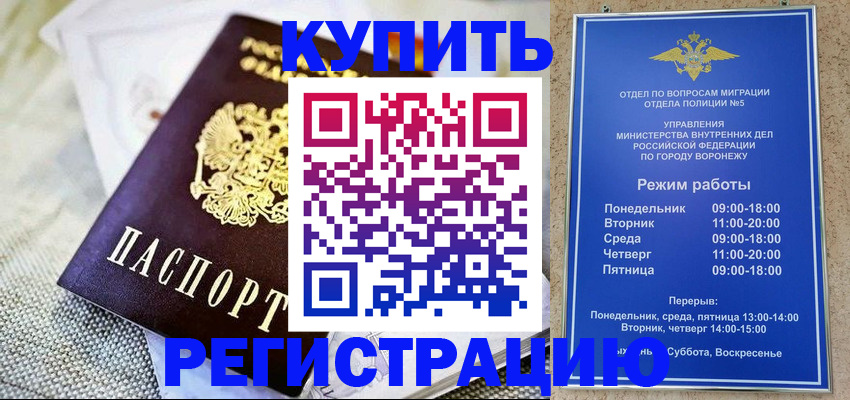 временная регистрация 2025 в Елизово